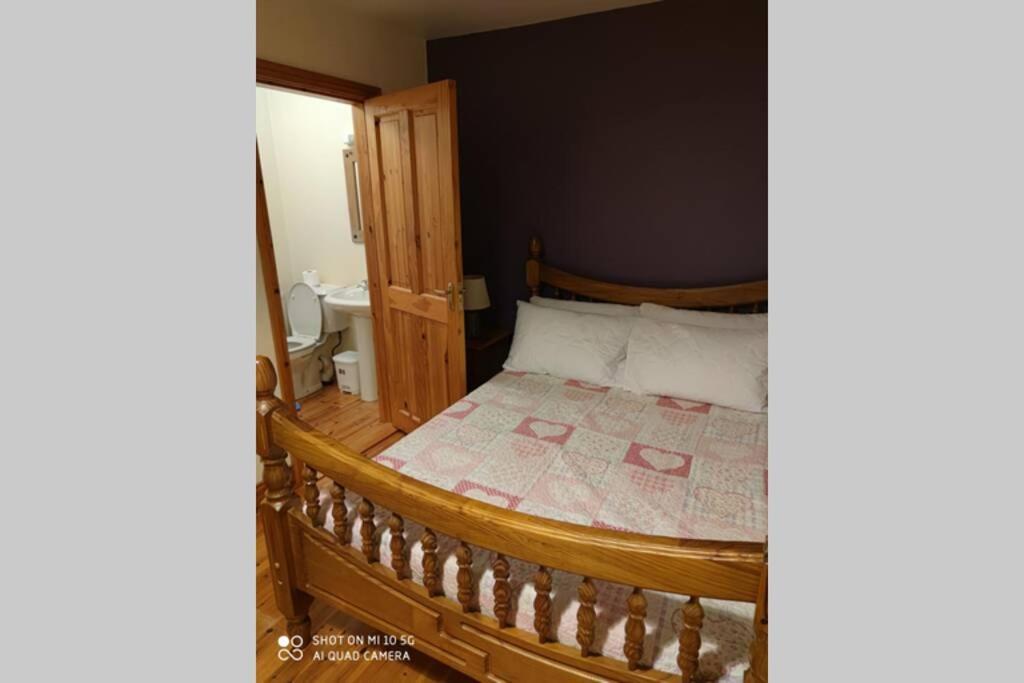 Townhouse 3 Barrow Lane Βίλα Bagenalstown Εξωτερικό φωτογραφία