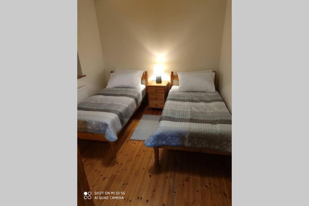 Townhouse 3 Barrow Lane Βίλα Bagenalstown Εξωτερικό φωτογραφία