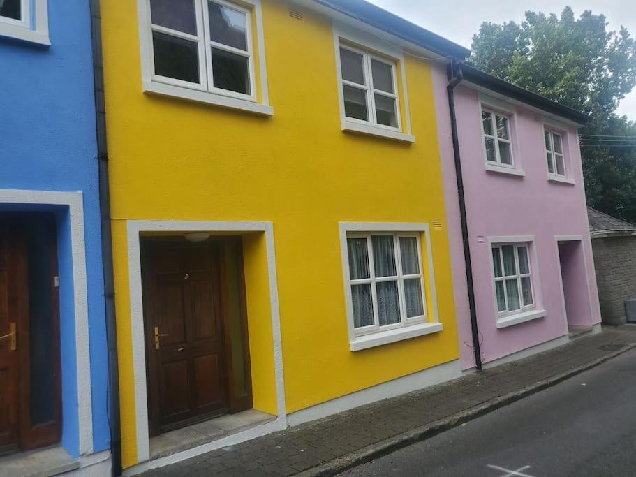 Townhouse 3 Barrow Lane Βίλα Bagenalstown Εξωτερικό φωτογραφία